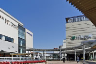 �Ƃ��̖؃f�b�L