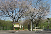 ���{���� - �����q�̓_�i