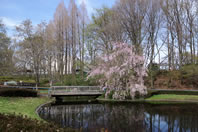 �������� - �����q�̓_�i