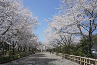 �˓���� - �����q�̓_�i