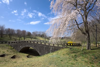 �ȒJ�ˌ��� - �����q�̓_�i