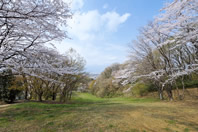 �������� - �����q�̓_�i