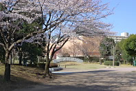 ���򒆋����� - �����q�̓_�i