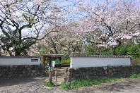 ���R�隬���� - �����q�̓_�i