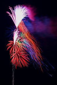 �����q�s�ԉΑ�� 2012 ����2