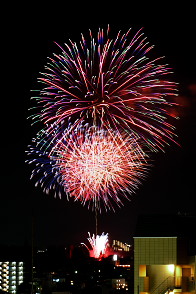 �����q�s �ԉΑ��