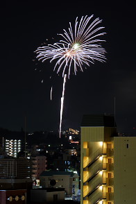 �����q�s�ԉΑ�� 2012 ����3