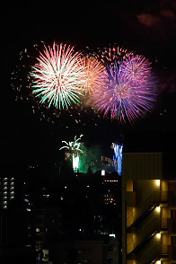 �����q�s�ԉΑ�� 2012 ����5