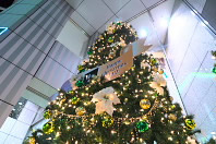 クリスマスツリー(2012年) - 東急スクエア