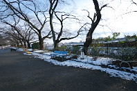 冬、残雪の元横山公園