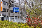 ボケが咲いた頃の様子 - 元横山公園