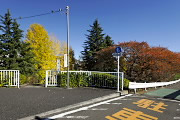 秋、黄紅葉の元横山公園入口