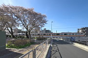 桜が咲いた時に小門公園の西側