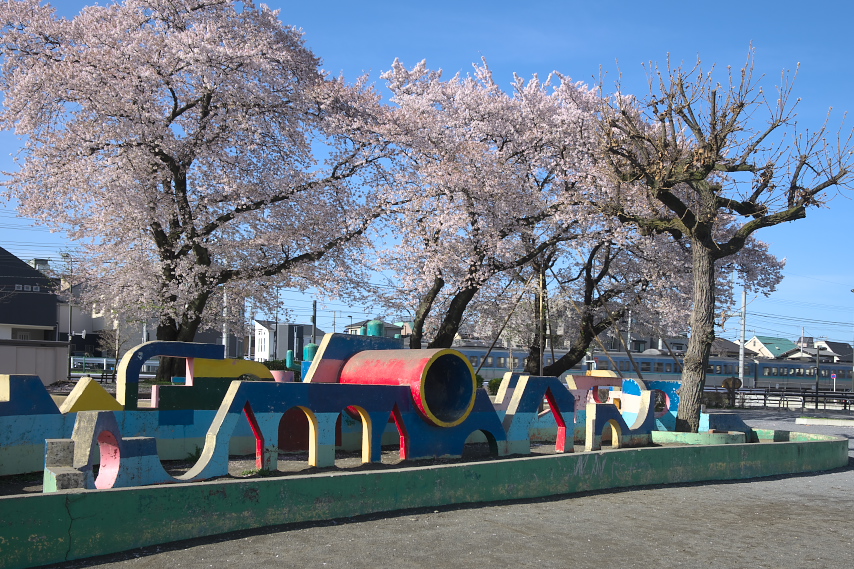 桜が咲いた小門公園 - 2013年
