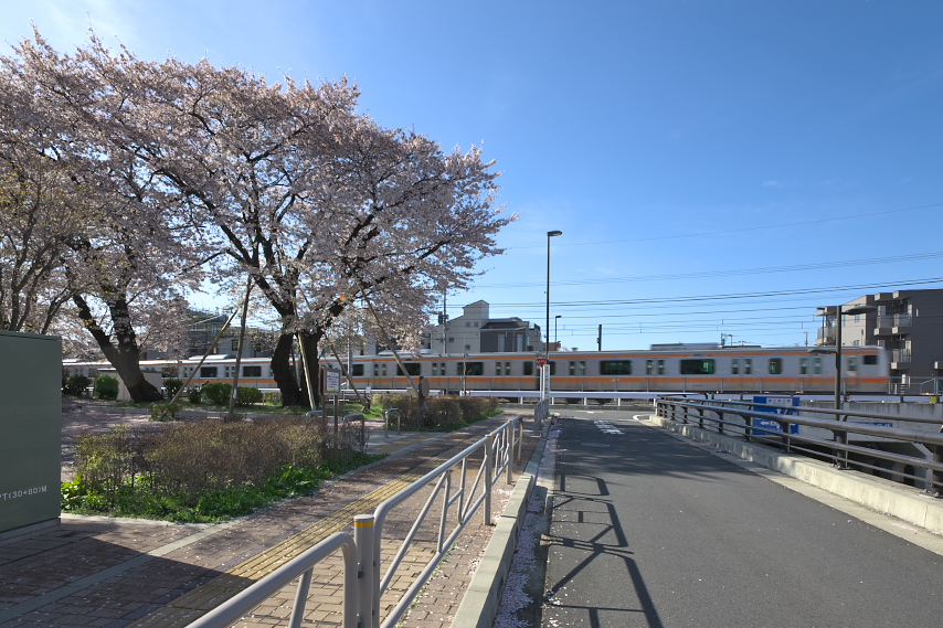 桜が咲いた時に小門公園の西側