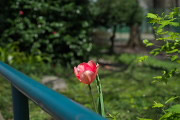 `[bv - q