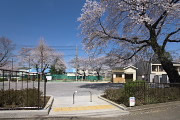 サクラが咲く東南の入口 - 六本杉公園