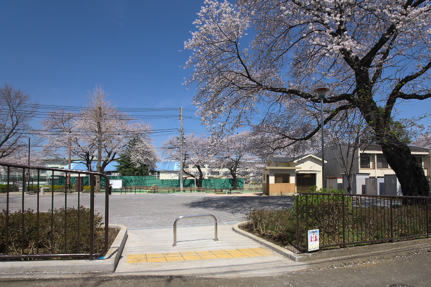 サクラが咲く東南の入口 - 六本杉公園