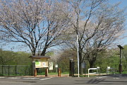 桜が開花した小宮公園のひよどり山の入口