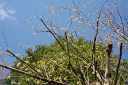 ̃TV(R) - {