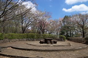 春の展望広場 - 久保山公園
