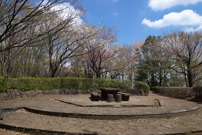 春の展望広場 - 久保山公園
