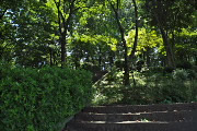 東屋に上る東側の階段 - 宇津木台緑地
