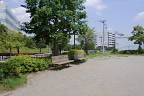 ビョウヤナギが咲く広場 - 宇津木台中公園
