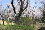 平和の像への案内板 - 富士森公園
