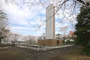 桜が咲いた時の慰霊塔 - 富士森公園