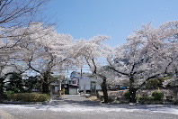 桜が咲く東口 - 富士森公園