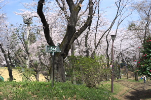 平和の像への案内板 - 富士森公園