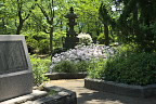 ツツジ、浅間神社側 - 富士森公園