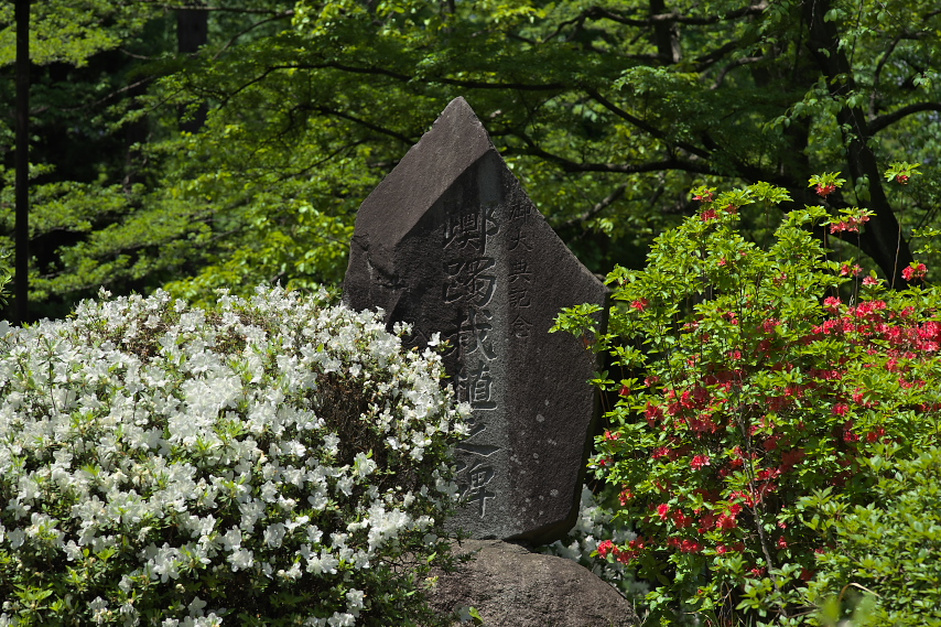 ツツジが咲く躑躅栽植の碑 - 富士森公園