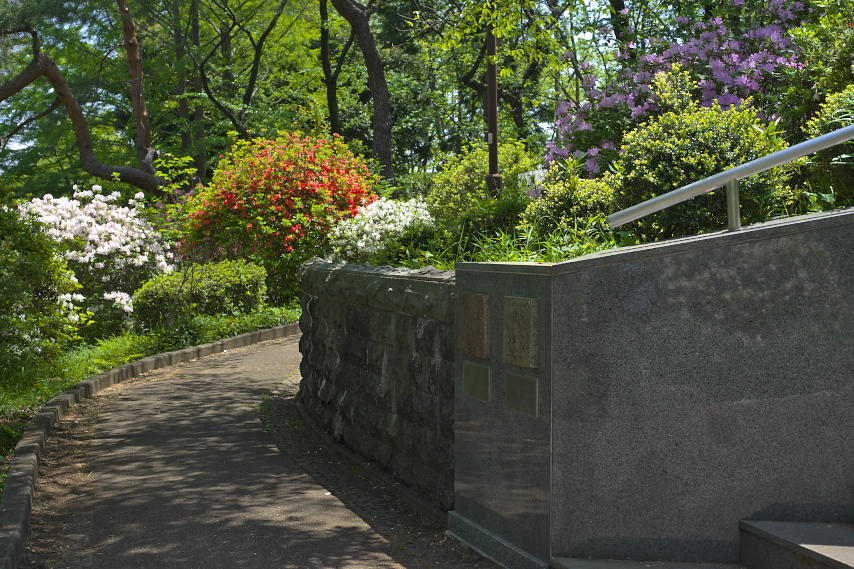 平和の像の階段下、ツツジ - 富士森公園