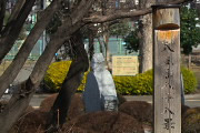 八王子八十八景の碑(冬) - 富士森公園