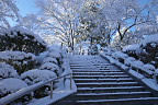 平和の像、雪の日の朝 - 富士森公園