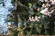 桜が開花した頃の平和の像 - 富士森公園