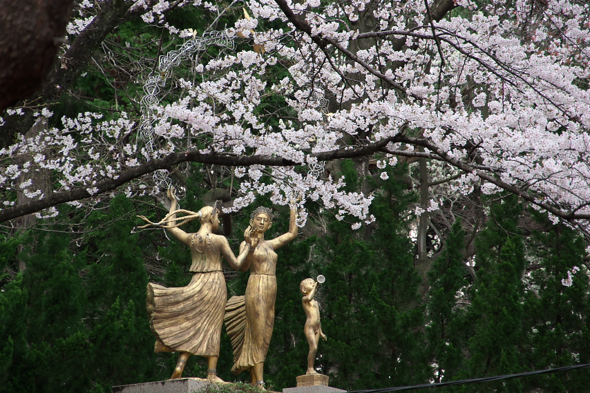 桜と平和の像 - 富士森公園