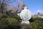 桜と彫刻「風祭 / The Wind Festival」(小林亮介) - 富士森公園