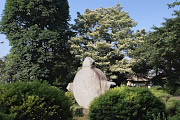 クマノミズキと彫刻「風祭 / The Wind Festival」 - 富士森公園