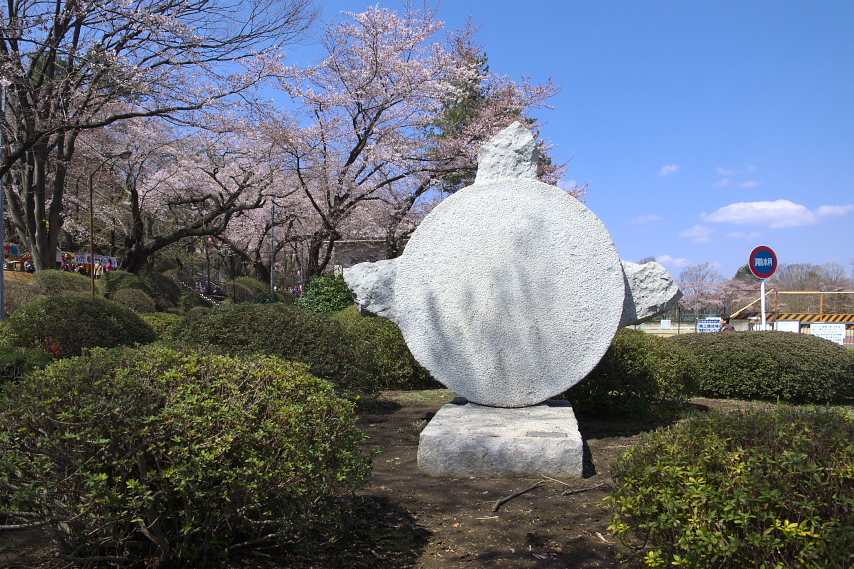 桜と彫刻「風祭 / The Wind Festival」(小林亮介) - 富士森公園
