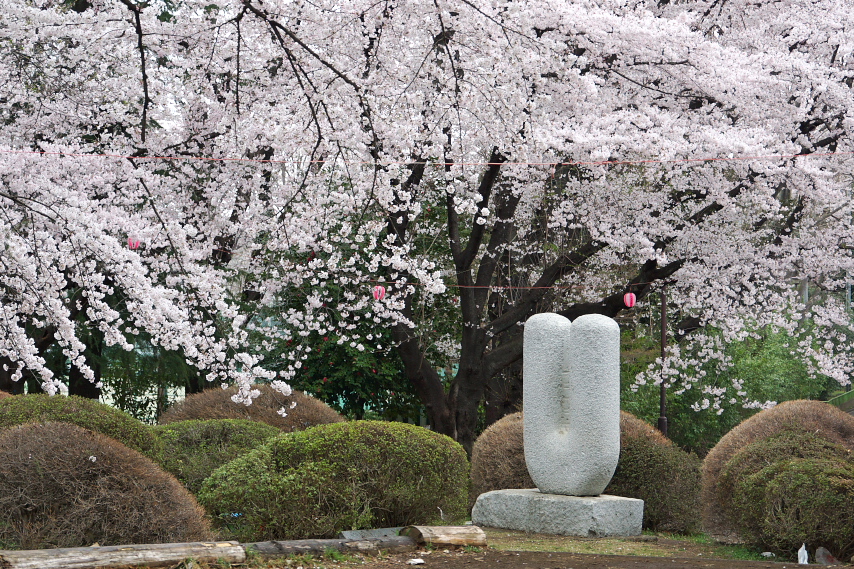 桜と彫刻「風の標識 No.2 (大成浩)」 - 富士森公園