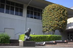 金木犀が咲く体育館入口、彫刻「私の影」- 八王子市民体育館