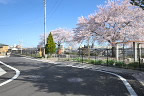 桜が咲いた台町見晴公園 - 台町見晴公園