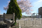 桜が咲いた時の入口 - 台町見晴公園