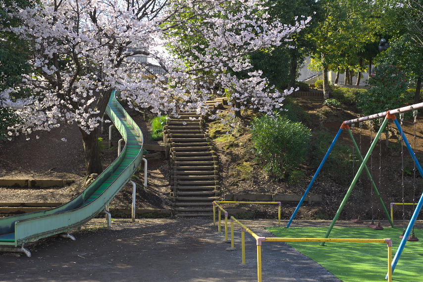 桜が咲いた時の遊具の辺り - 上野町公園