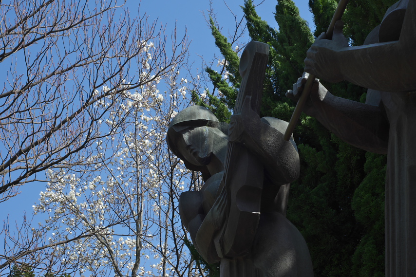彫刻とコブシ(辛夷) - 上野町公園