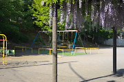 藤棚と遊具 - 上野町公園
