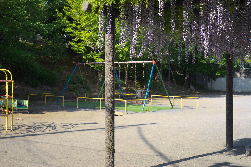 藤棚と遊具 - 上野町公園
